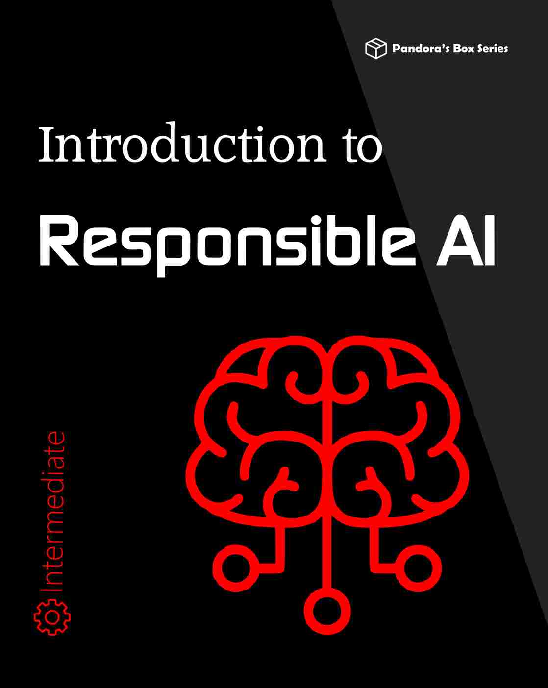 introduction to reponsible ai