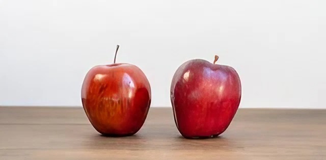 fake data can be the same as real data in every details