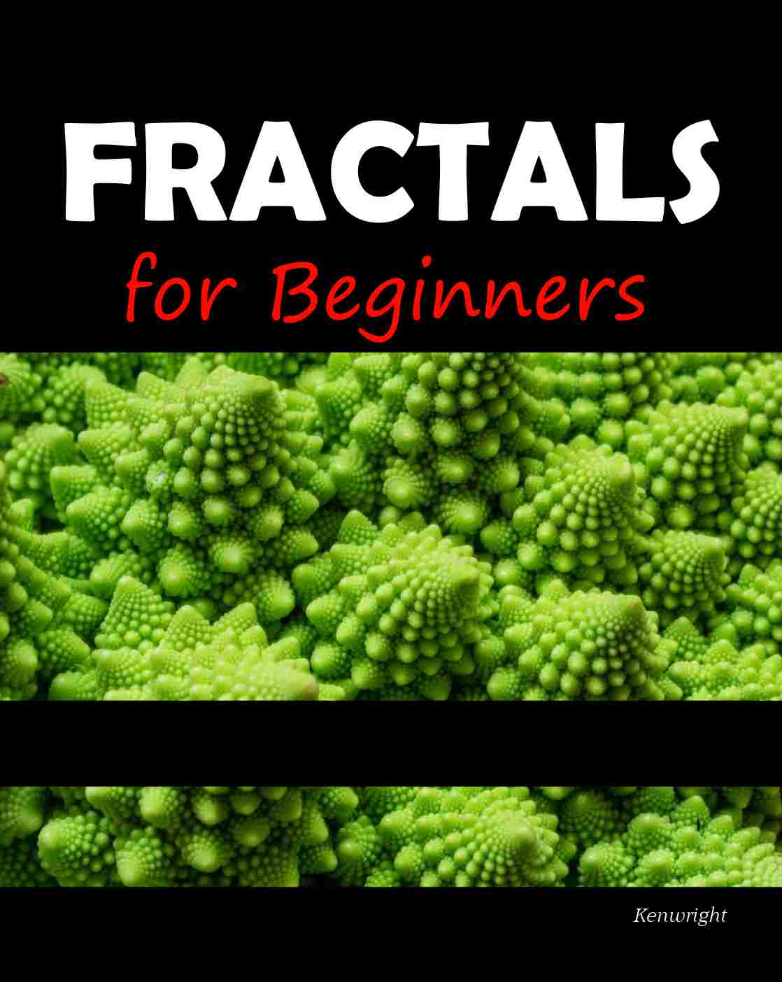 fractals beginners book